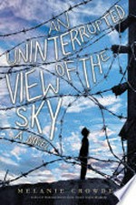 An uninterrupted view of the sky : a novel