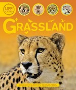 Grassland