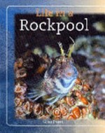 Life in a rockpool /