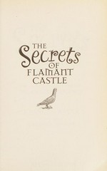The secrets of Flamant Castle : the complete adventures of Sword girl & friends
